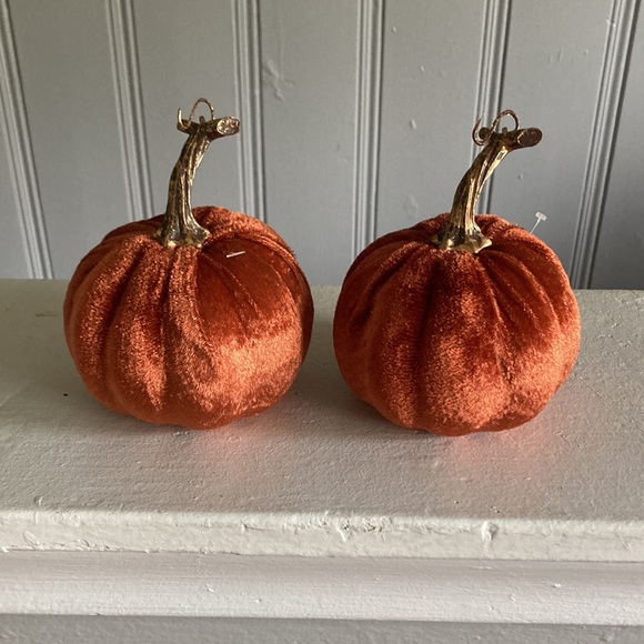 Set of 2- Beautiful Orange Velvet Pumpkins- Fall Holiday Decorations - Picture 11 of 17